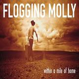 Перевод слов музыканта Flogging Molly музыкального трека — Screaming at the Wailing Wall с английского